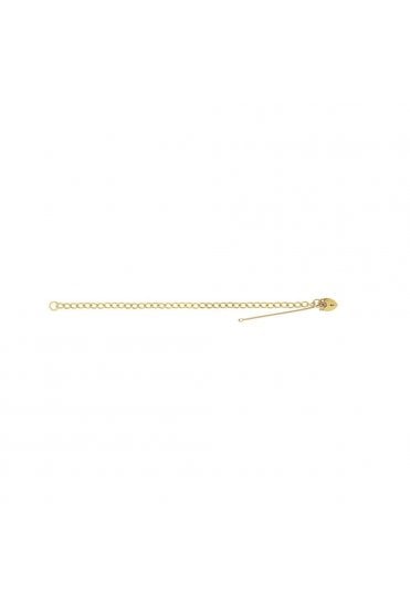 9ct Yellow Gold Padlock Heart Charm Bracelet  9ct Yellow Gold