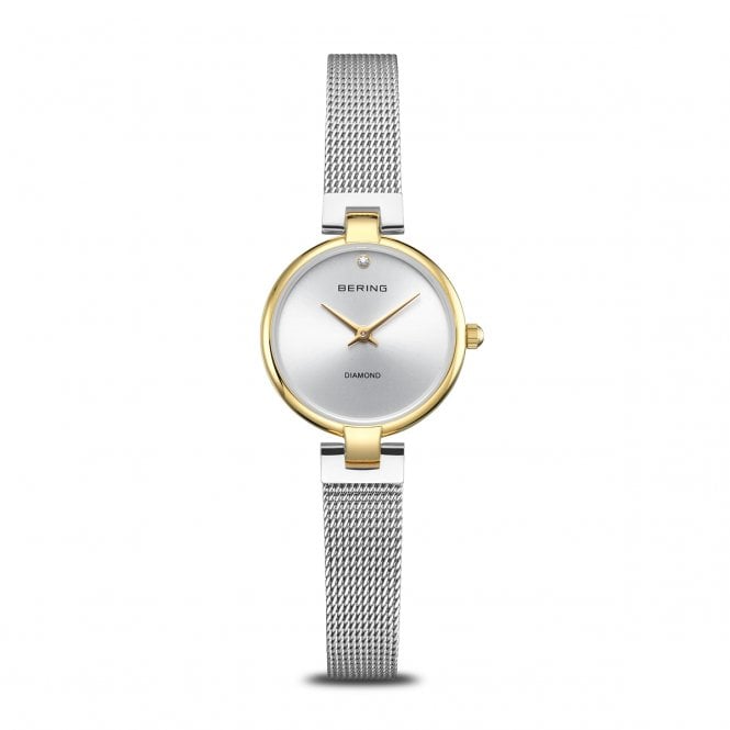 Bering Classic Stainless Steel Case, 17724-010