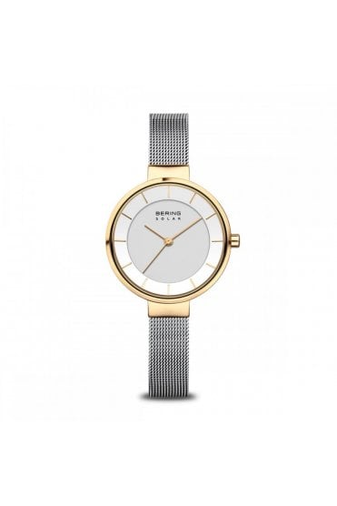 Bering Solar 31mm 14631-024