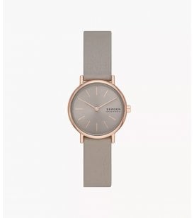 Skagen Signatur Lille Stainless Steel Case, SKW3060
