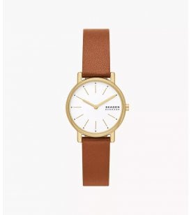 Skagen Signatur Lille SKW3121
