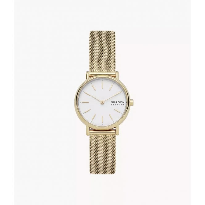 Skagen Signatur Lille SKW2693